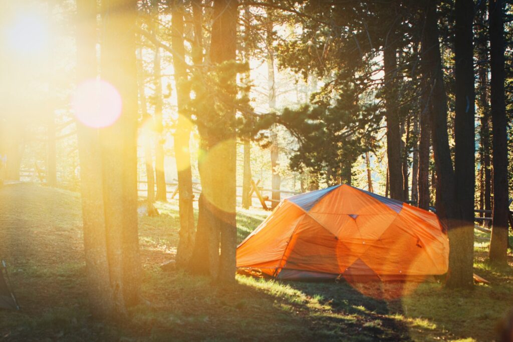 太陽に照らされたテント