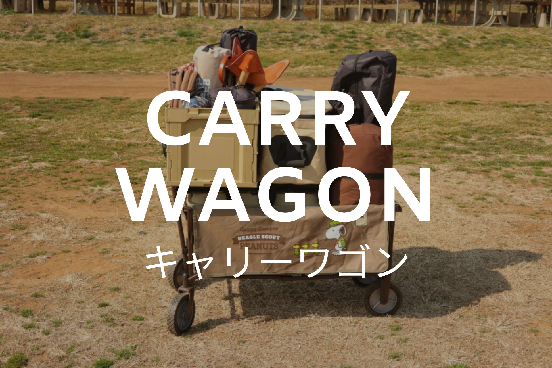carry wagon